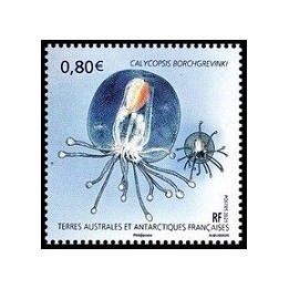 TAAF - 963