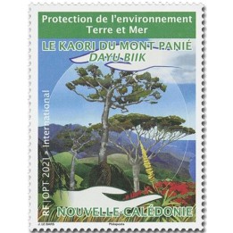 Nouvelle-Caledonie - 1411