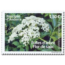 Andorre Espagnol - 503