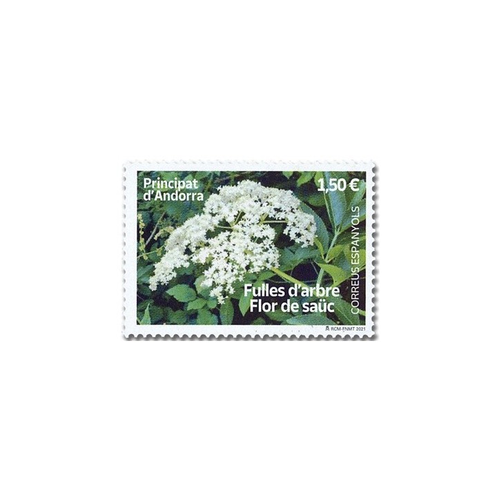 Andorre Espagnol - 503