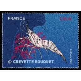 France - 5556
