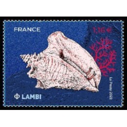 France - 5559