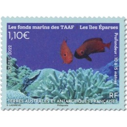 TAAF - 1005