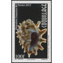 Polynesie Francaise - 1144