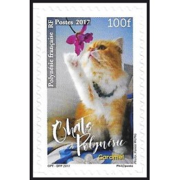 Polynesie Francaise - 1165