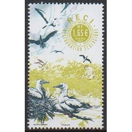 TAAF - 1035