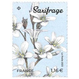 France - 5653