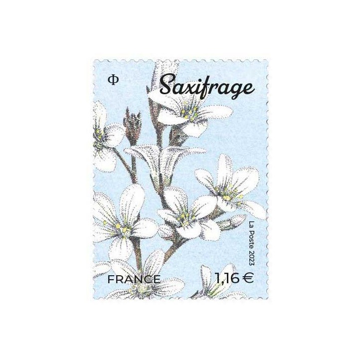 France - 5653