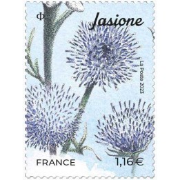 France - 5654