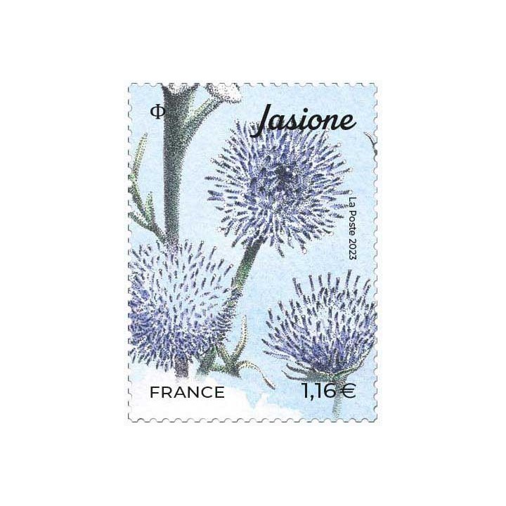 France - 5654