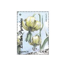 France - 5655