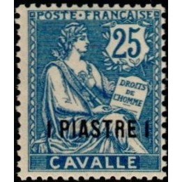 Cavalle - 13
