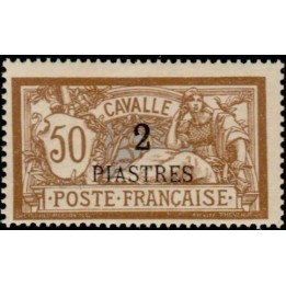 Cavalle - 14