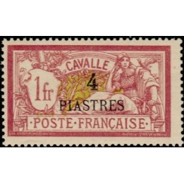 Cavalle - 15