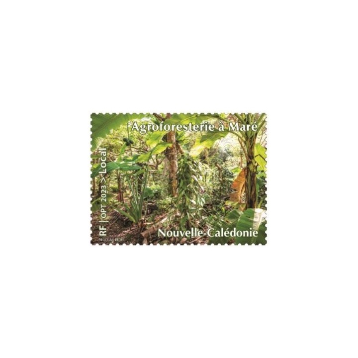 Nouvelle-Caledonie - 1436