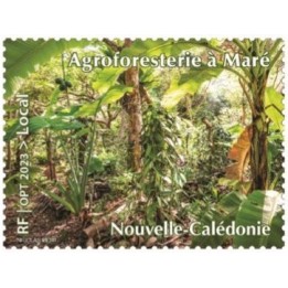 Nouvelle-Caledonie - 1436
