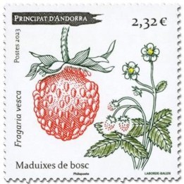 Andorre Francais - 900