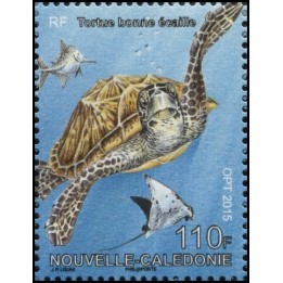 Nouvelle-Caledonie - 1264