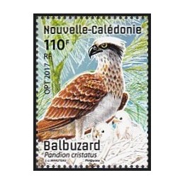Nouvelle-Caledonie - 1307
