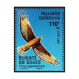 Nouvelle-Caledonie - 1308