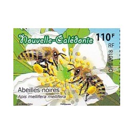 Nouvelle-Caledonie - 1347