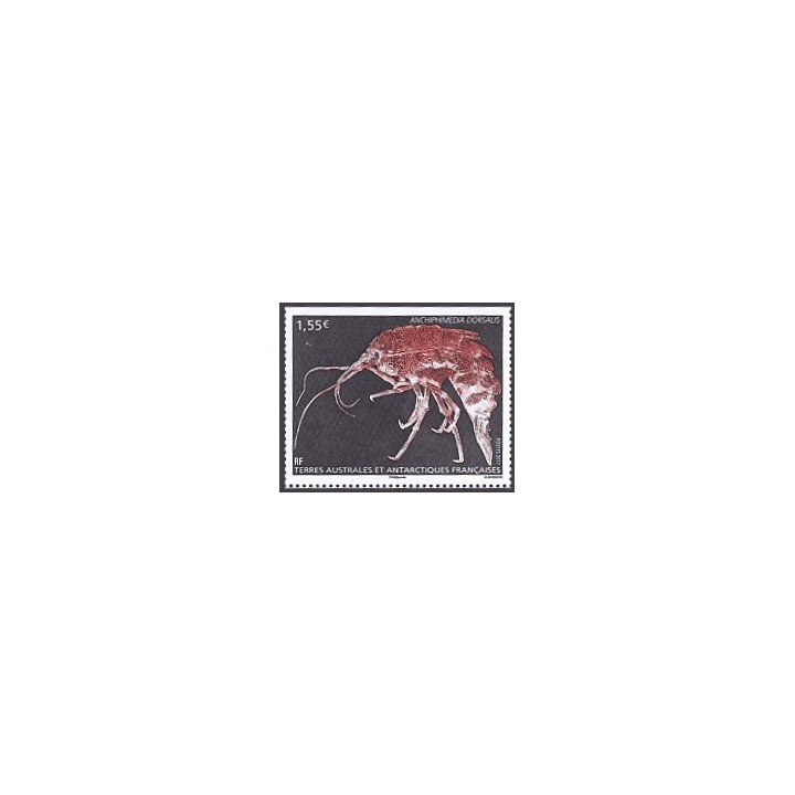 TAAF - 0808