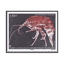 TAAF - 0808
