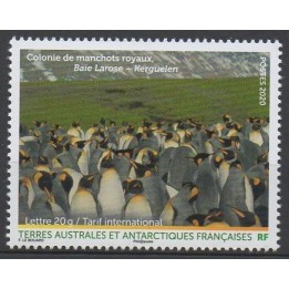Timbre de collection TAAF - 0943