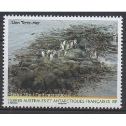 Timbre de collection TAAF - 0947