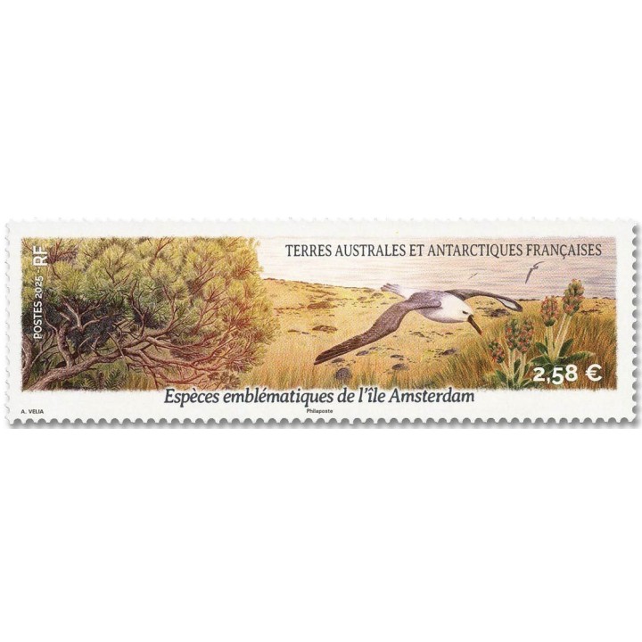 Timbre de collection TAAF - 1107