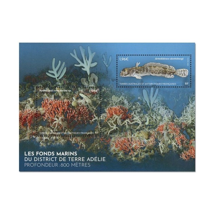 Timbre de collection TAAF - F1123