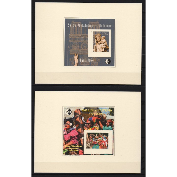 Timbre de collection France - Bloc CNEP 097b et 098b Epreuve de Luxe