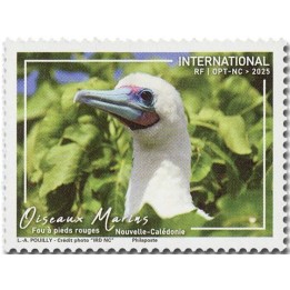Timbre de collection Nouvelle-Caledonie - 1479