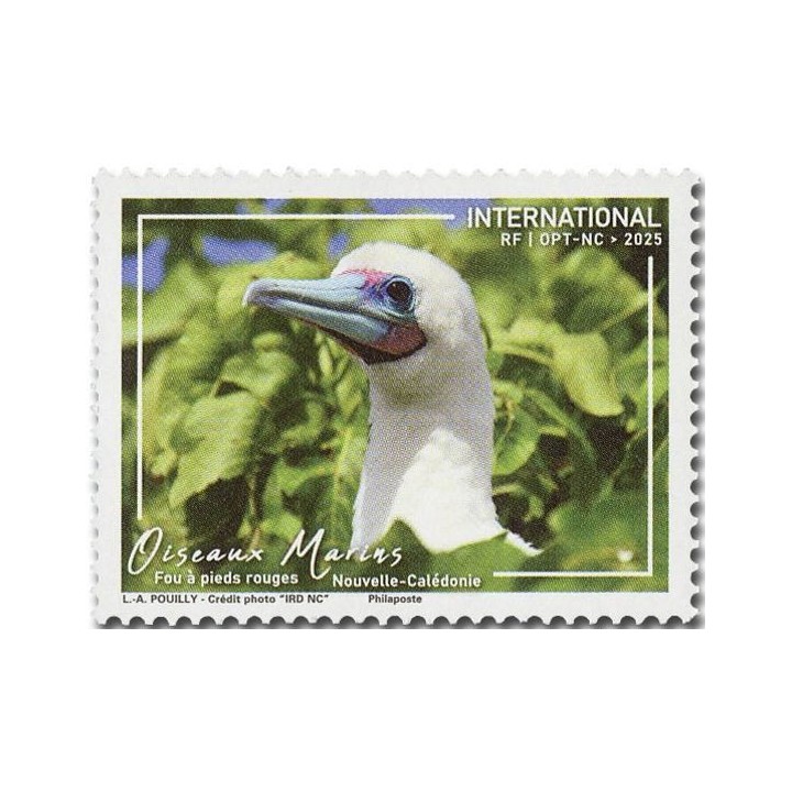 Timbre de collection Nouvelle-Caledonie - 1479