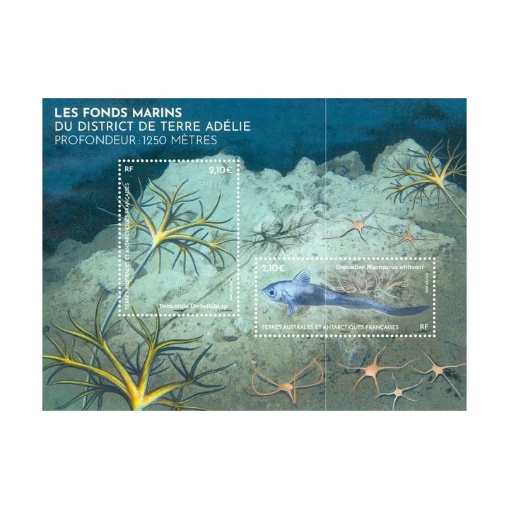 Timbre de collection TAAF - F1146