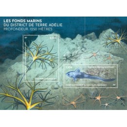 Timbre de collection TAAF - F1146