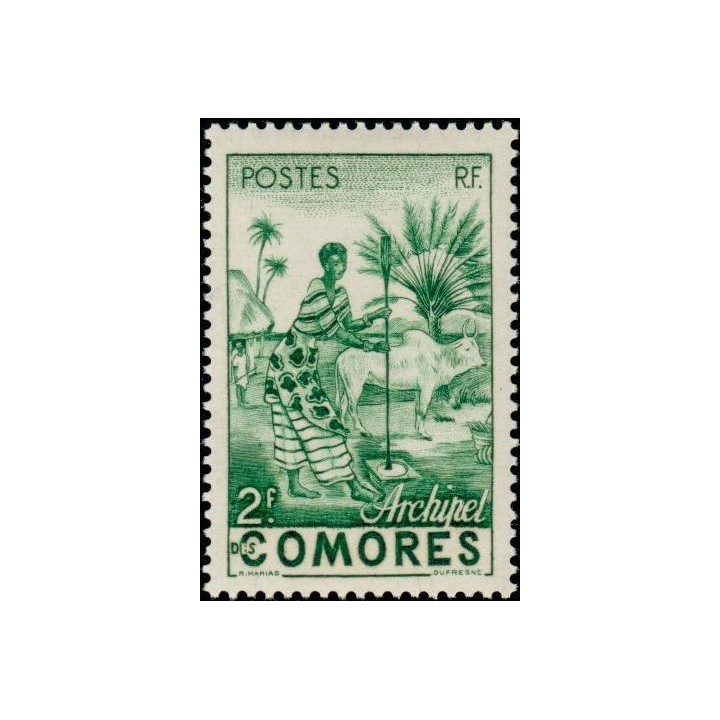 Comores - 004