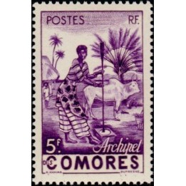 Comores - 005