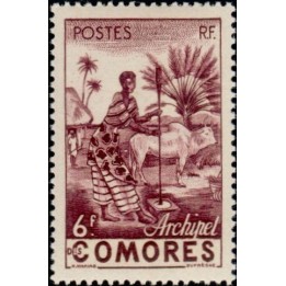 Comores - 006