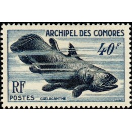 Comores - 013