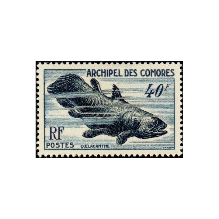 Comores - 013