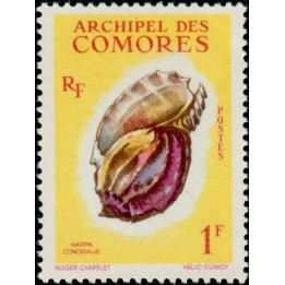 Comores - 020