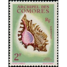 Comores - 021