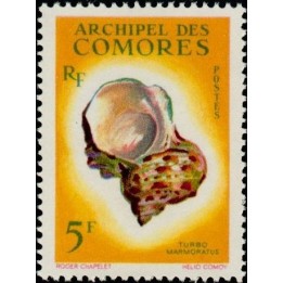 Comores - 022