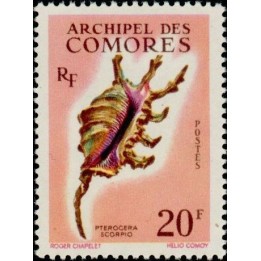 Comores - 023