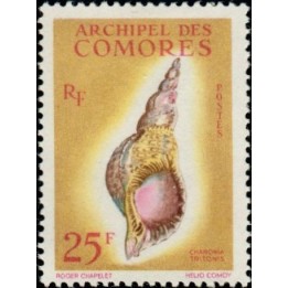 Comores - 024