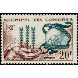 Comores - 026