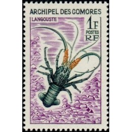 Comores - 035