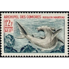 Comores - 036