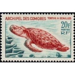 Comores - 037